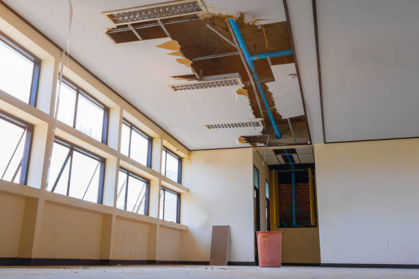 Best Ceiling water damage repair  in Fox Farm College, WY