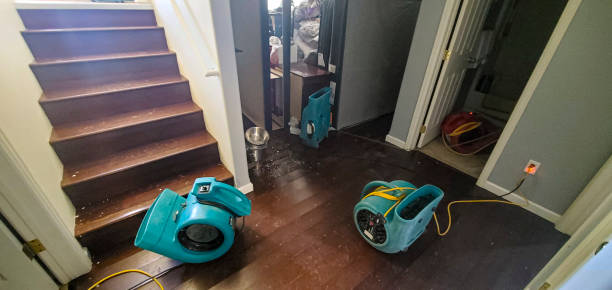 Carpet water damage restoration in Fox Farm College, WY