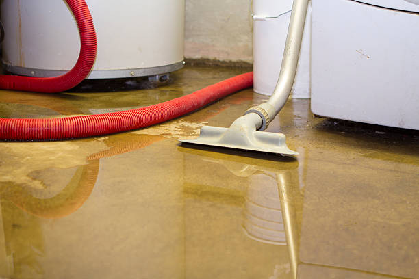 Best 24/7 water damage repair  in Fox Farm College, WY