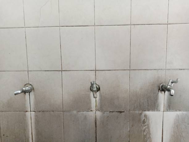 Best Water damage contractors near me  in Fox Farm College, WY
