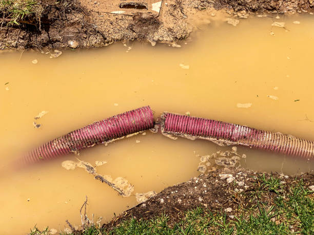 Best Carpet water damage restoration  in Fox Farm College, WY