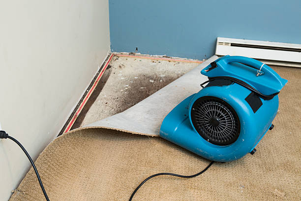 Best Carpet water damage restoration  in Fox Farm College, WY